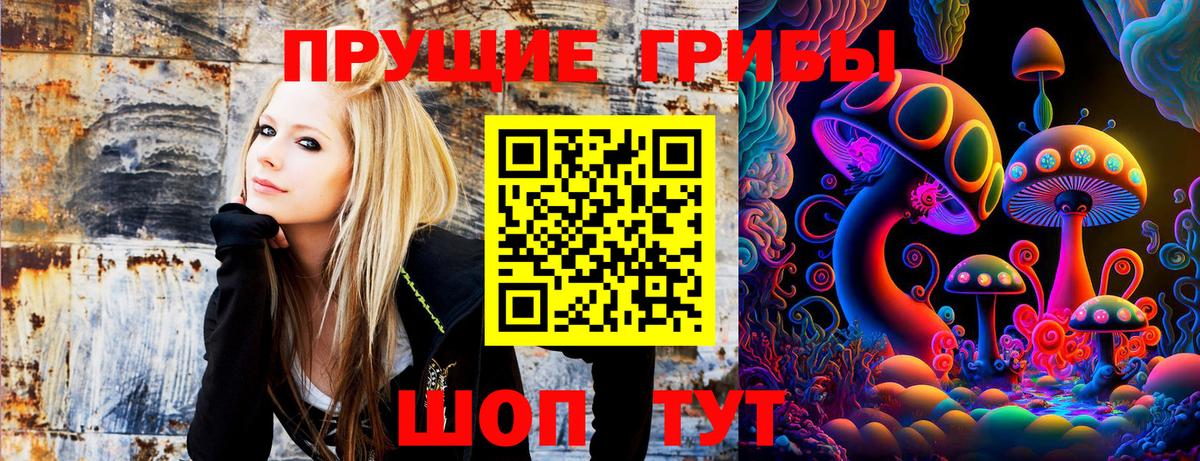 как найти наркотики  Псилоцибиновые грибы мухоморы  Вход с VPN  Галлюциногенные грибы Cubensis  Видное 